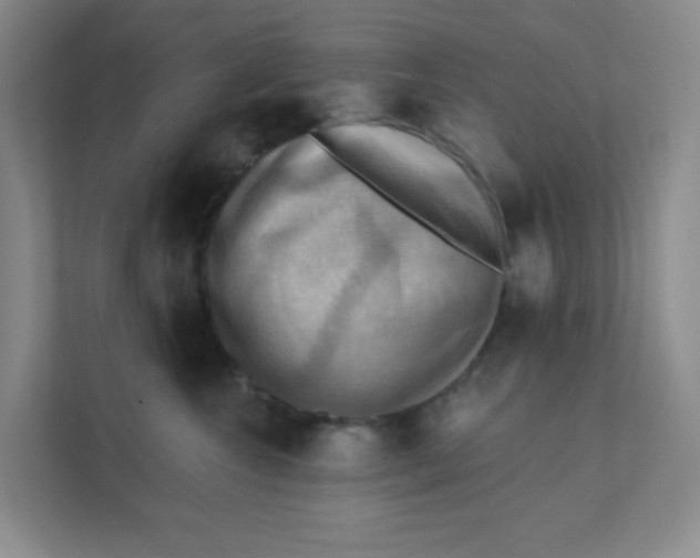 X0000111360572200907311015