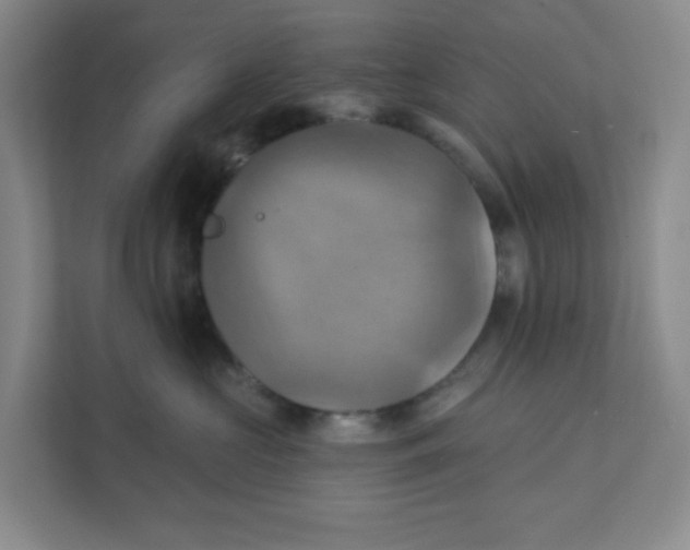 X0000111360573200907311015