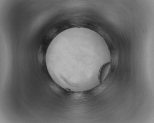 X0000111360574200907311015