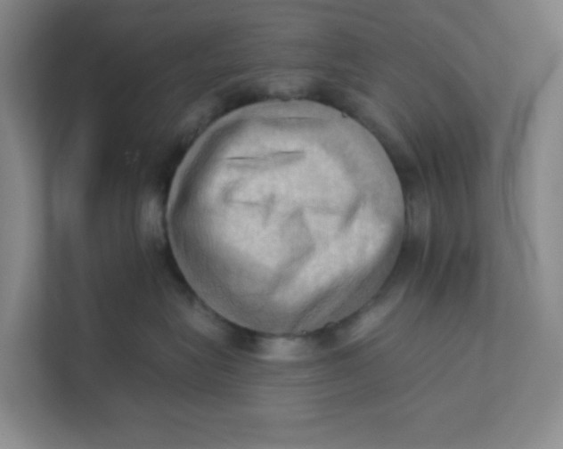 X0000111360575200907311015