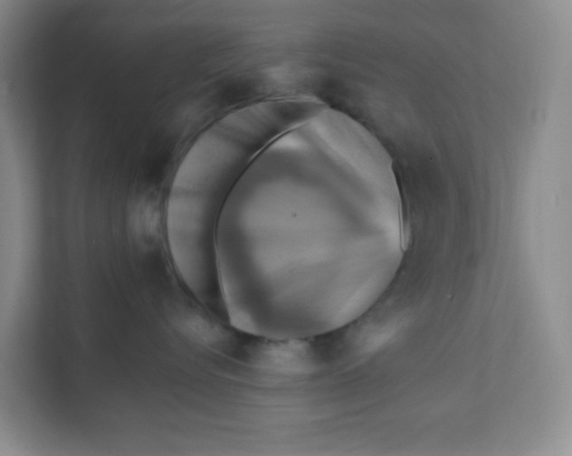 X0000111360576200907311015