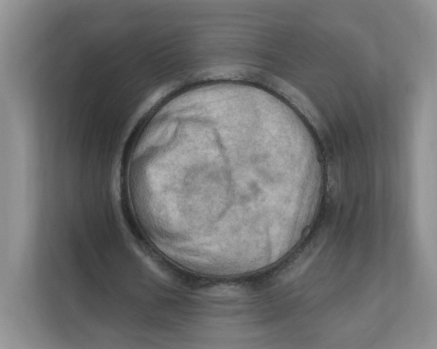 X0000111360578200907311014