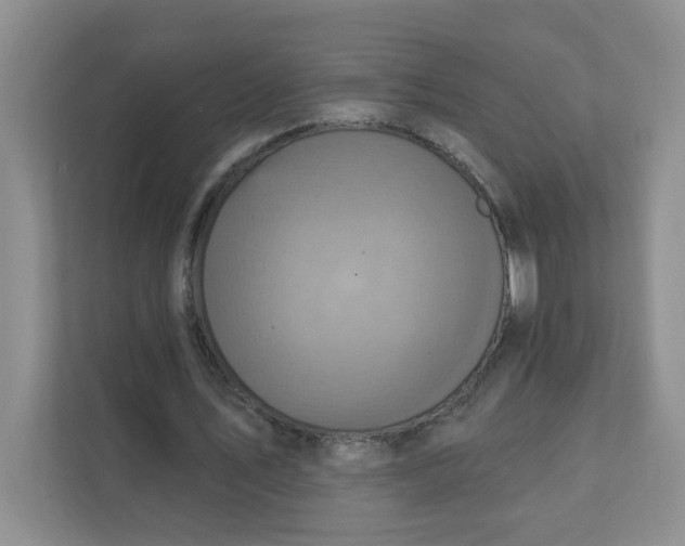 X0000111360579200907311014