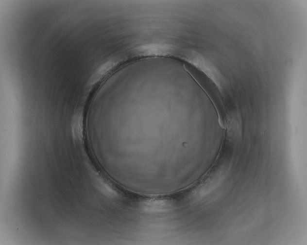 X0000111360581200907311014