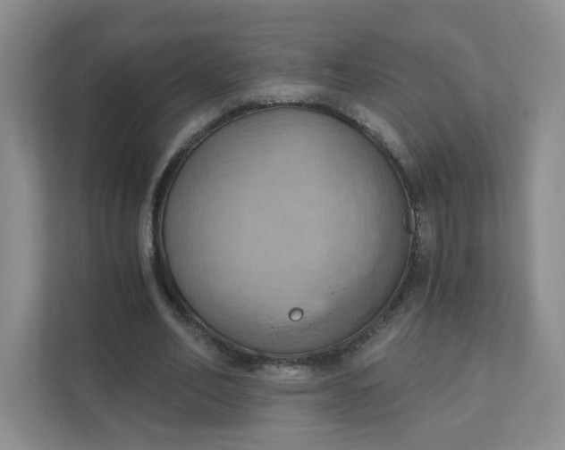 X0000111360582200907311014