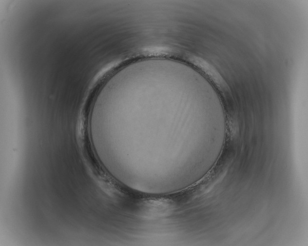 X0000111360583200907311014