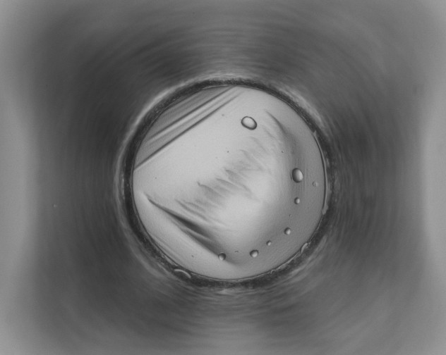 X0000111360584200907311014