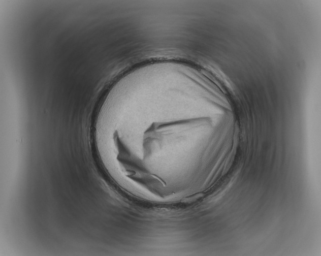 X0000111360585200907311014