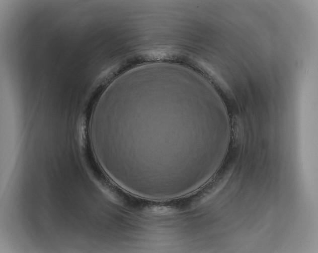 X0000111360590200907311014