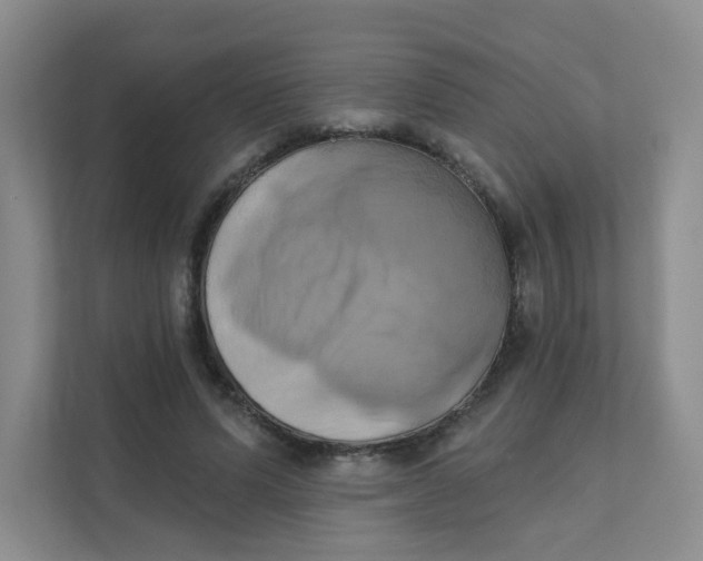 X0000111360591200907311014