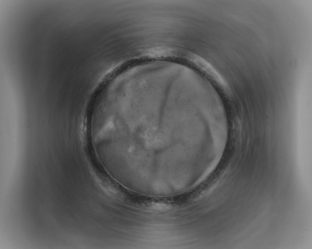 X0000111360592200907311014