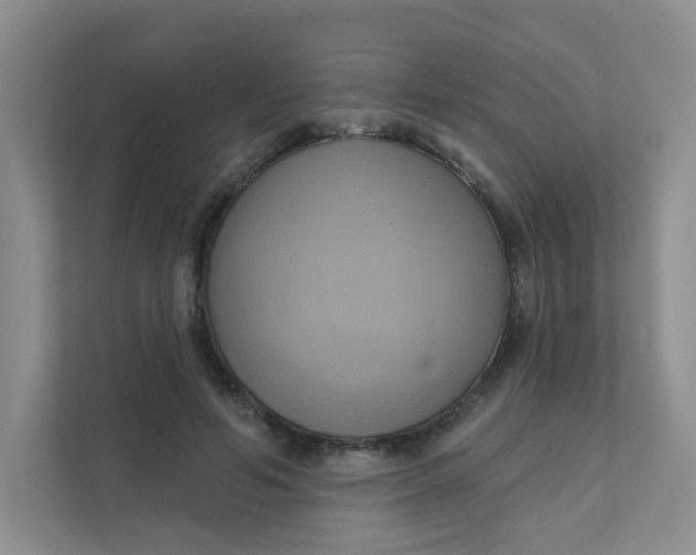 X0000111360594200907311014