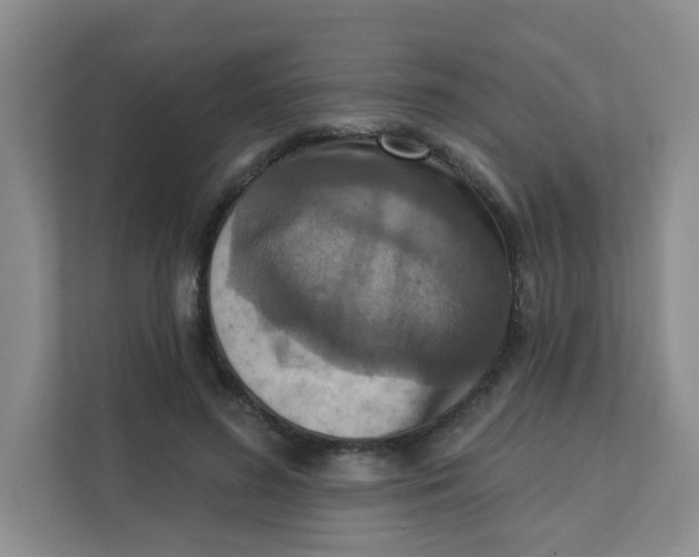 X0000111360596200907311014