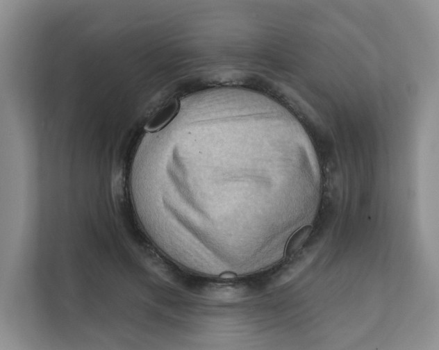 X0000111360597200907311014