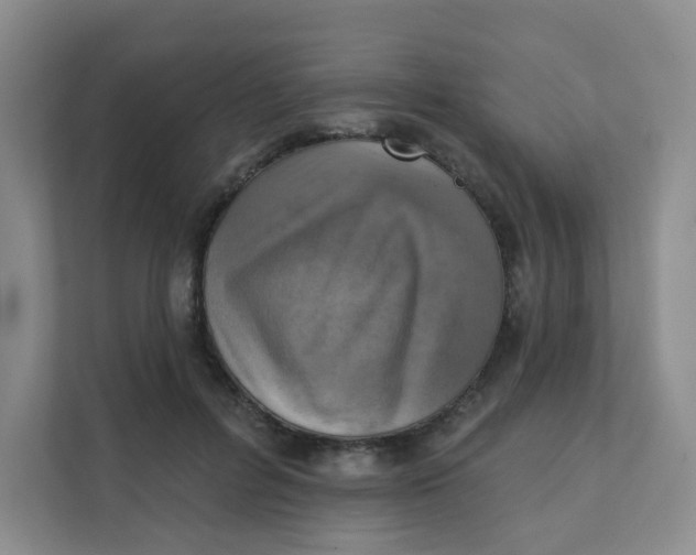 X0000111360600200907311014