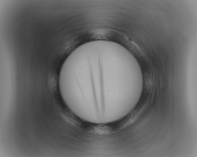 X0000111360603200907311014