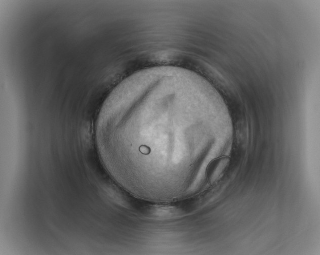 X0000111360605200907311014