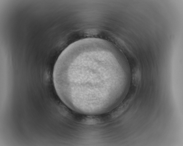 X0000111360608200907311014