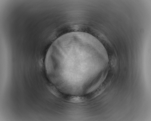 X0000111360611200907311014