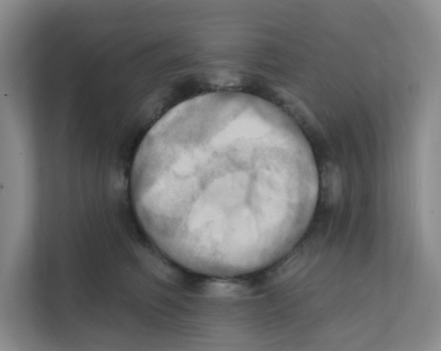 X0000111360614200907311014