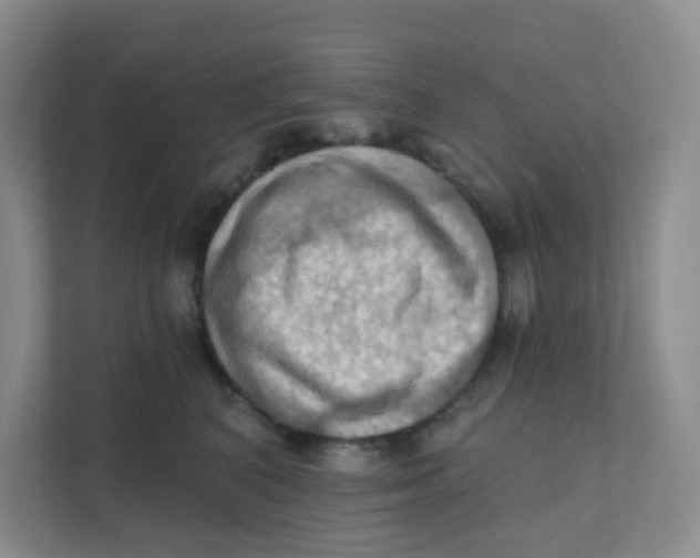 X0000111360616200907311014