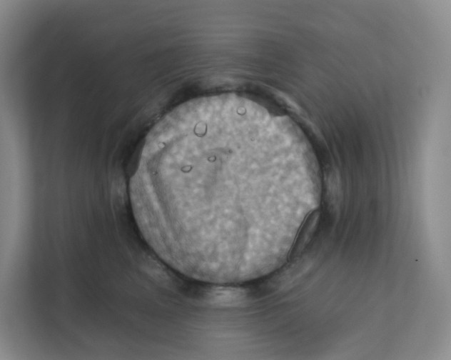 X0000111360617200907311014