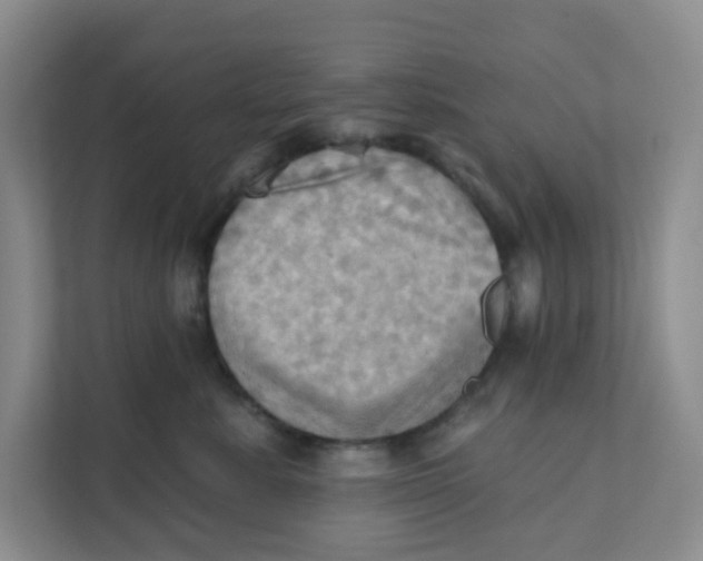 X0000111360619200907311014