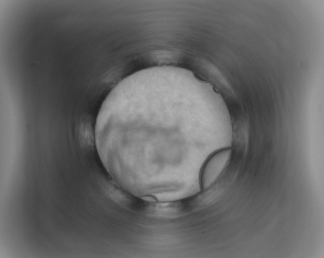 X0000111360622200907311014