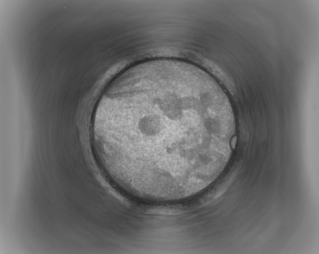 X0000111360625200907311013