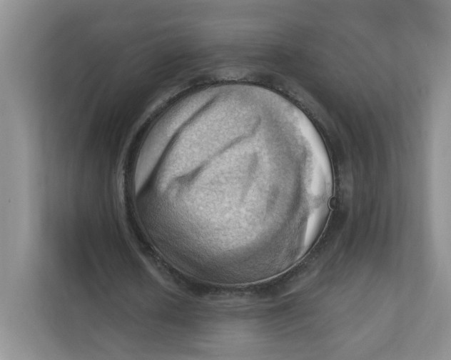 X0000111360626200907311013