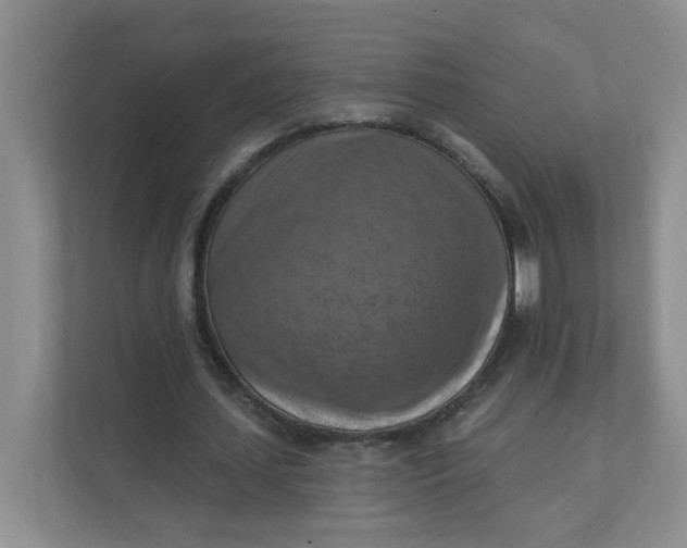 X0000111360627200907311013