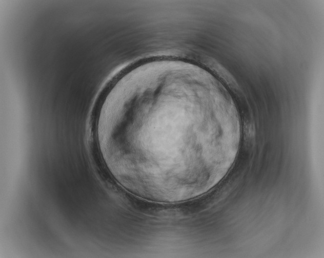 X0000111360628200907311013