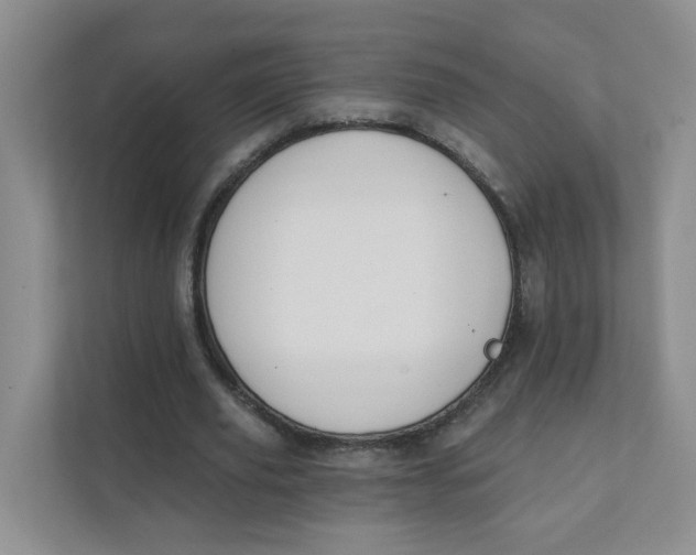 X0000111360629200907311013