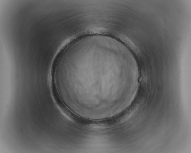 X0000111360630200907311013