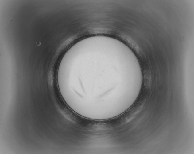 X0000111360631200907311013