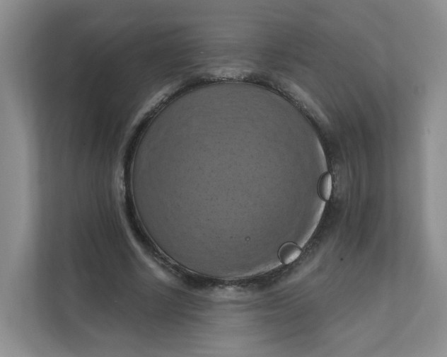 X0000111360634200907311013