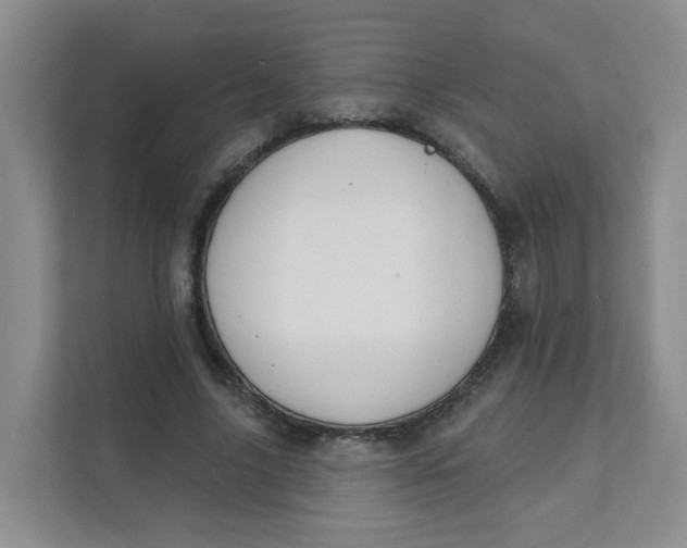 X0000111360635200907311013