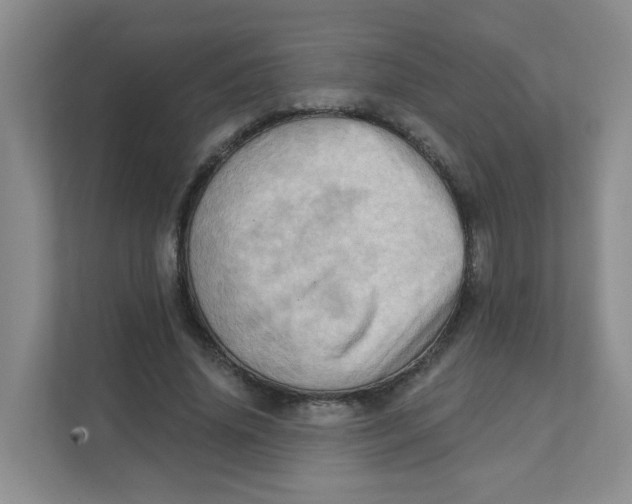 X0000111360636200907311013