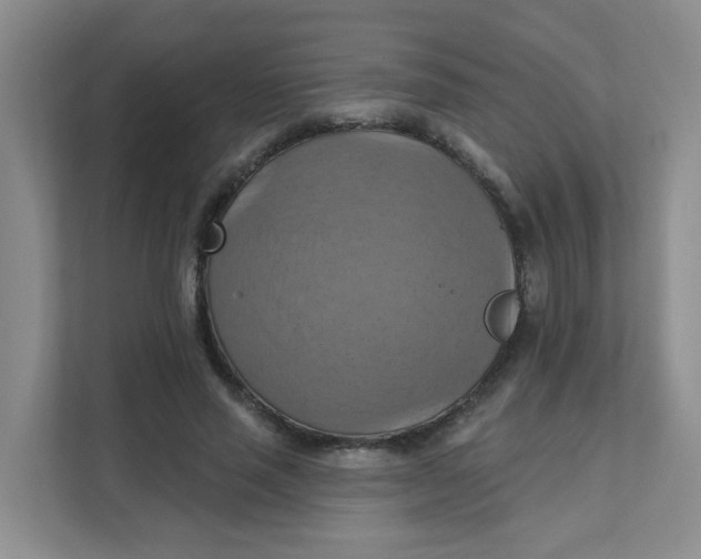 X0000111360637200907311013