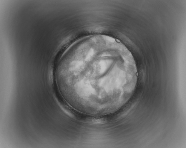 X0000111360638200907311013