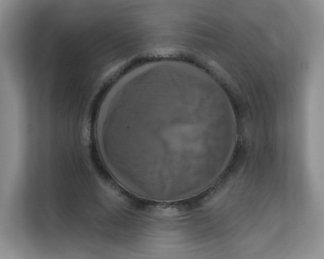 X0000111360640200907311013