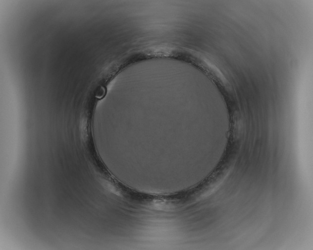 X0000111360641200907311013