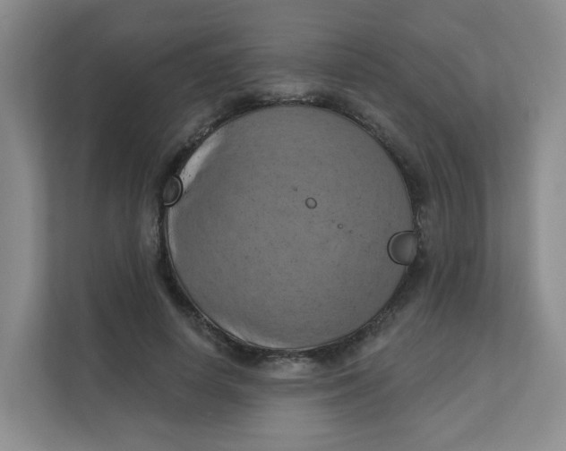 X0000111360642200907311013