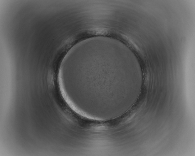 X0000111360643200907311013