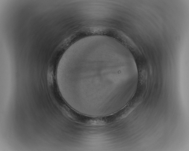 X0000111360644200907311013