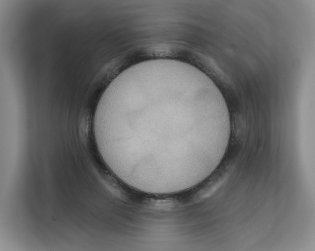 X0000111360645200907311013