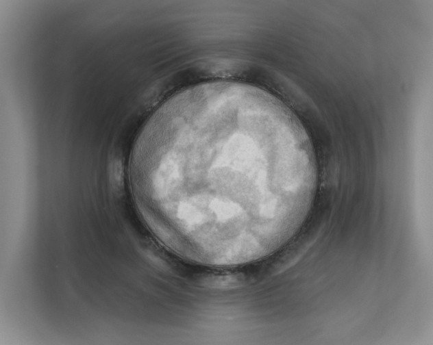 X0000111360646200907311013