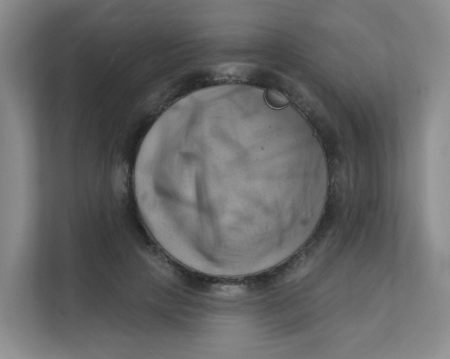 X0000111360649200907311014