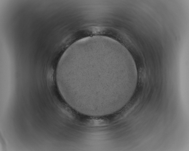 X0000111360650200907311014