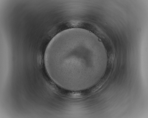 X0000111360651200907311014